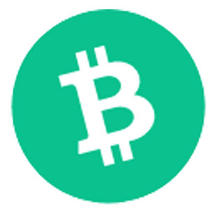 BCH 區塊鏈項目