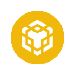 BNB 區塊鏈項目