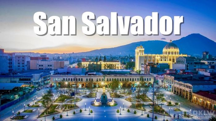 _߶IȫBitcoinՆTнwϵ DƬ